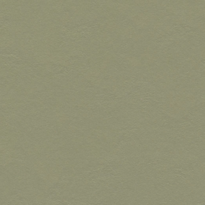 Marmoleum click kleur rosemary green