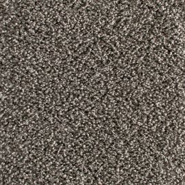 Active-SDN – 007636