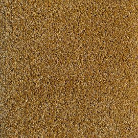 Globe Project ECONYL® – 215749