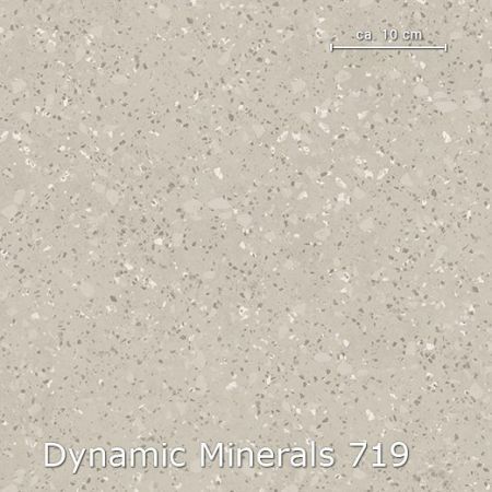 Vinyl Dynamic Minerals 736719