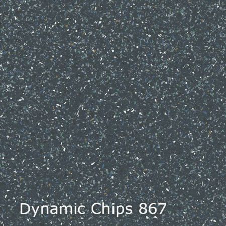 Vinyl Dynamic Chips 744867