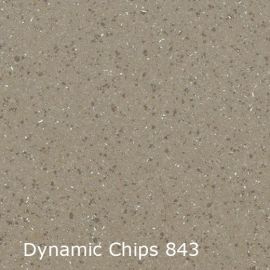 Dynamic Chips – 744843