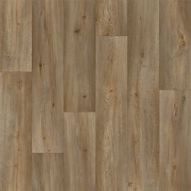 Domestic Wood – 719s36
