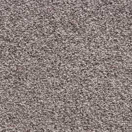 Scarlatti Project-SDN – 518486