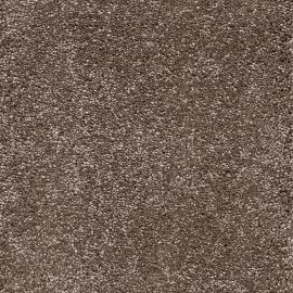 Verdi-SDN – 610555