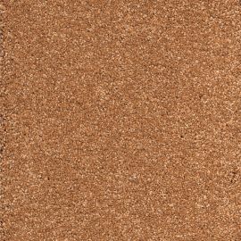 Verdi-SDN – 610559