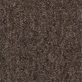 Robusta Project-SDN – 480479