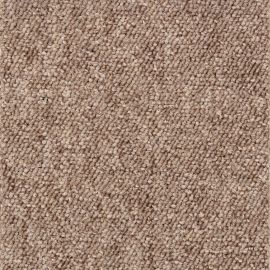 Robusta Project-SDN – 480483