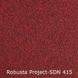 Robusta Project-SDN – 480415