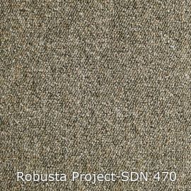 Robusta Project-SDN – 480470