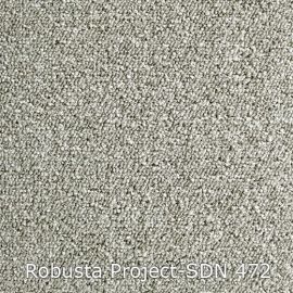 Robusta Project-SDN – 480472