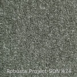 Robusta Project-SDN – 480474