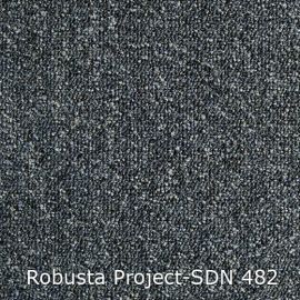 Robusta Project-SDN – 480482