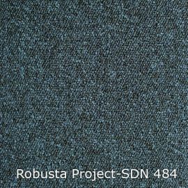 Robusta Project-SDN – 480484