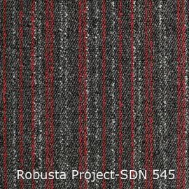 Robusta Project-SDN – 480545