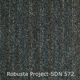 Robusta Project-SDN – 480572