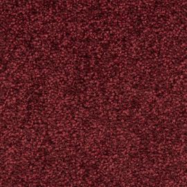 Ravenna SDY – 470523