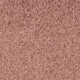 Ravenna SDY – 470537