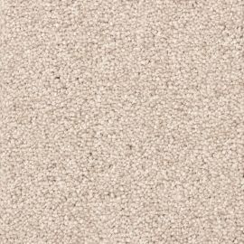 Ravenna SDY – 470526